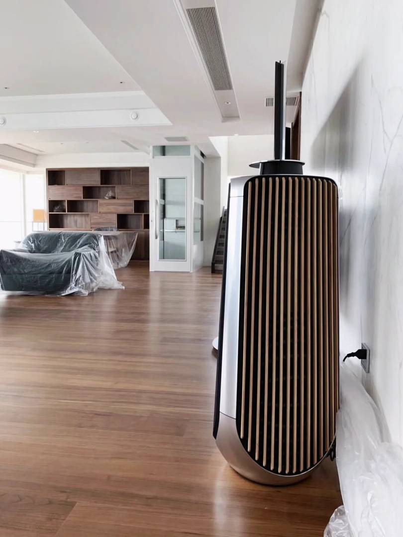 Лучшие домашние кинотеатры Bang & Olufsen: где купить и честные отзывы
